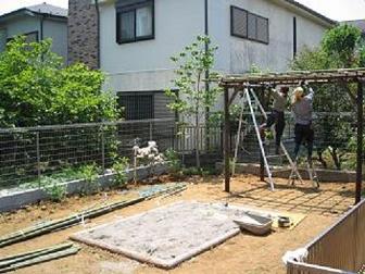 藤棚つくってます 藤棚つくってます