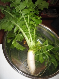 画像の説明 画像の説明