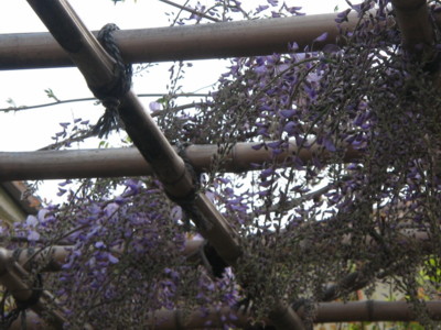 画像の説明 画像の説明