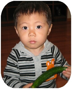 おいしそう! おいしそう!