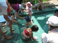 µ¤»ý¤Á¤¤¤¤¡Á µ¤»ý¤Á¤¤¤¤¡Á