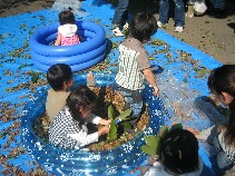 わ〜い! わ〜い!