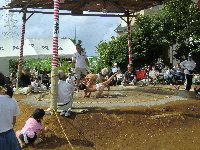 上手投げ? 上手投げ?