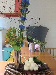 季節のお花 季節のお花