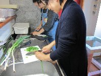 葱切って〜 葱切って〜