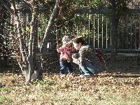 どんぐりあった? どんぐりあった?