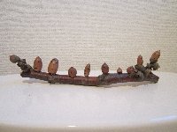なんだぁ? なんだぁ?