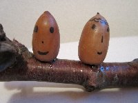 ゆるい感じが癒される〜? ゆるい感じが癒される〜?