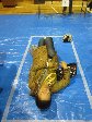 一人のスペースはこんなもの 一人のスペースはこんなもの