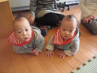 画像の説明